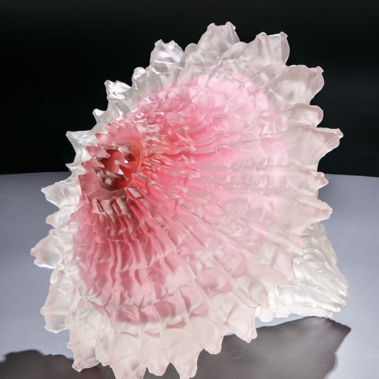Anemone