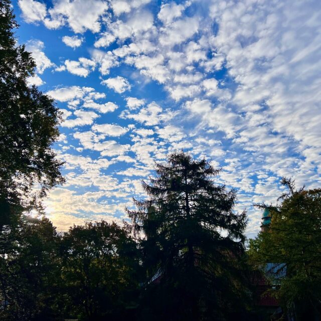 Good morning from the Glass Museum! Clouds like glass art
